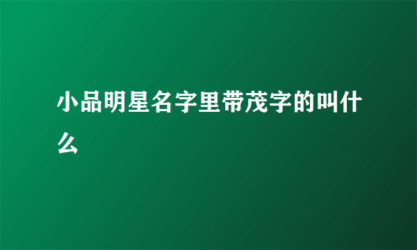 小品明星名字里带茂字的叫什么