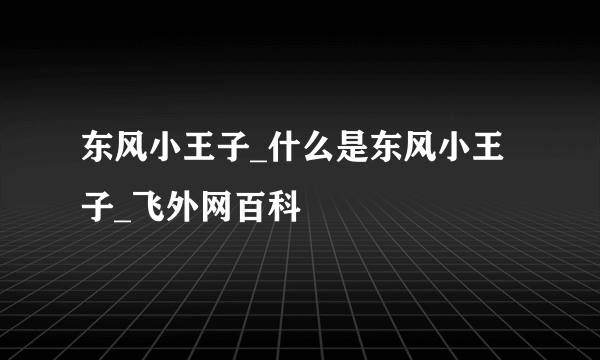 东风小王子_什么是东风小王子_飞外网百科