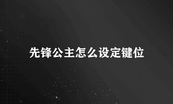 先锋公主怎么设定键位