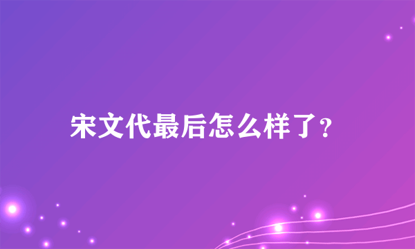 宋文代最后怎么样了？