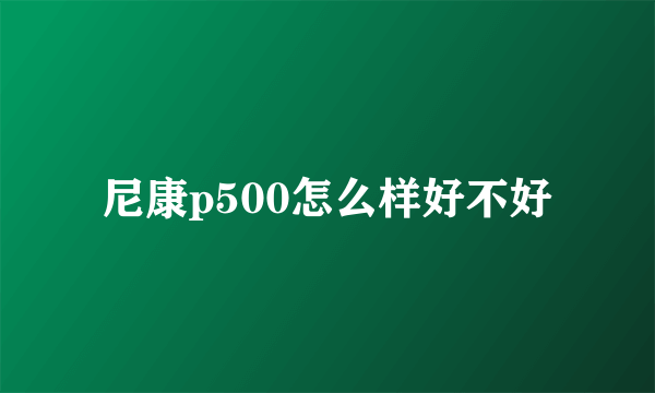 尼康p500怎么样好不好