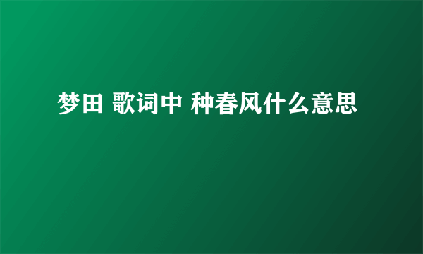 梦田 歌词中 种春风什么意思