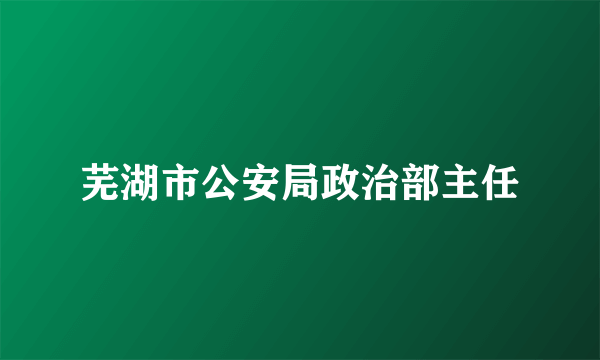 芜湖市公安局政治部主任