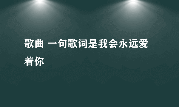 歌曲 一句歌词是我会永远爱着你