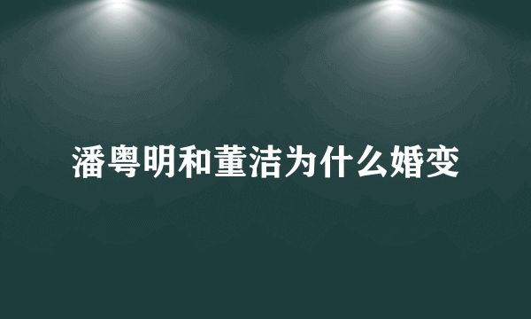 潘粤明和董洁为什么婚变