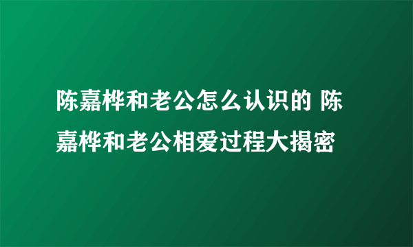 陈嘉桦和老公怎么认识的 陈嘉桦和老公相爱过程大揭密