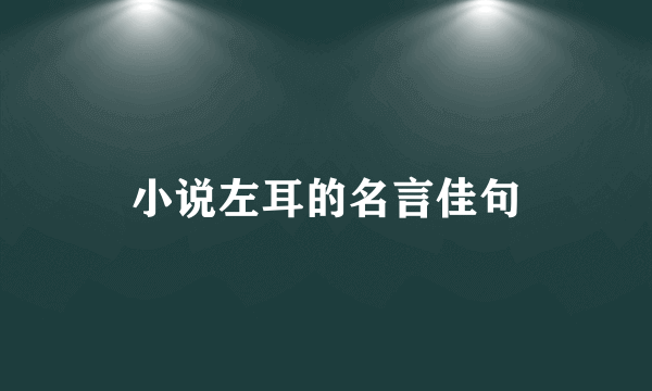 小说左耳的名言佳句