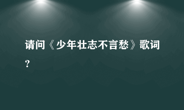 请问《少年壮志不言愁》歌词？