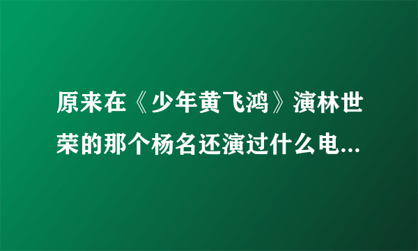 原来在《少年黄飞鸿》演林世荣的那个杨名还演过什么电视剧吗？