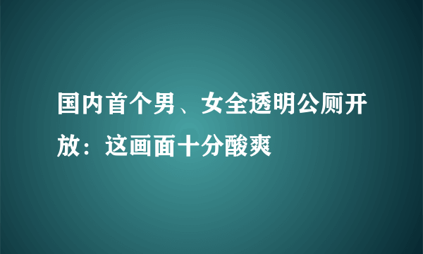 国内首个男、女全透明公厕开放：这画面十分酸爽