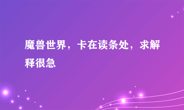 魔兽世界，卡在读条处，求解释很急