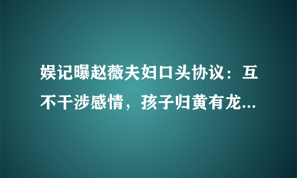 娱记曝赵薇夫妇口头协议：互不干涉感情，孩子归黄有龙所有，你怎么看？