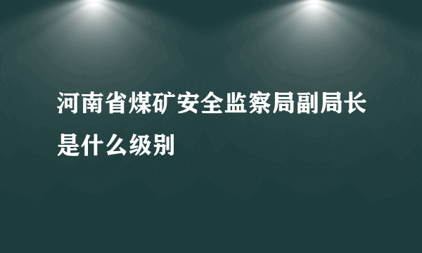 河南省煤矿安全监察局副局长是什么级别