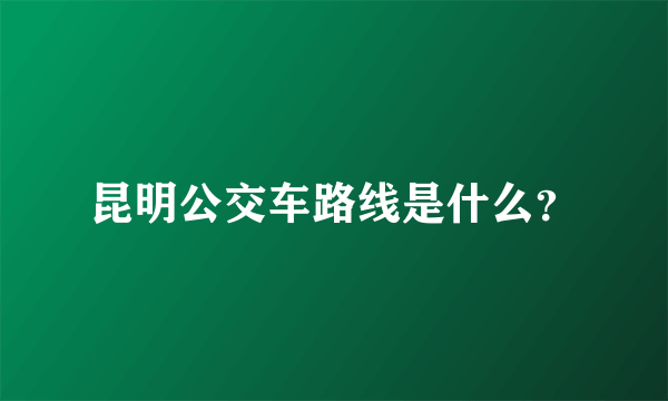 昆明公交车路线是什么？