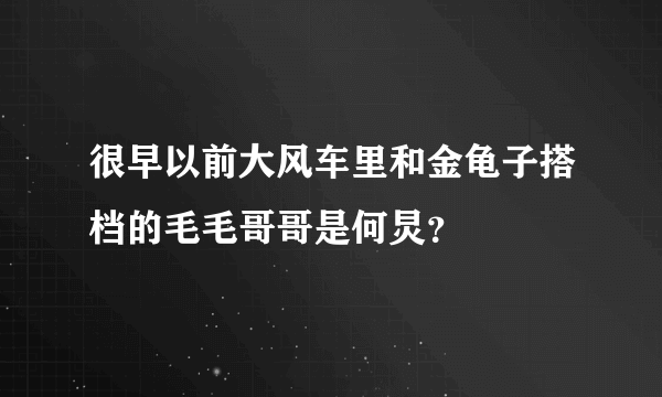 很早以前大风车里和金龟子搭档的毛毛哥哥是何炅？