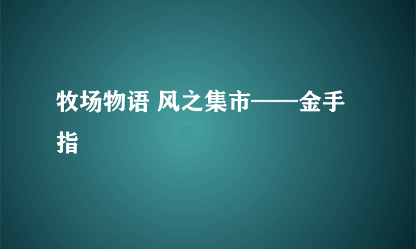 牧场物语 风之集市——金手指