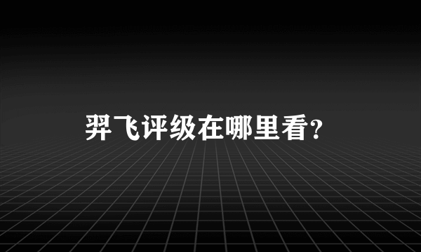 羿飞评级在哪里看？