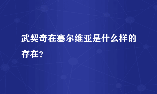 武契奇在塞尔维亚是什么样的存在？