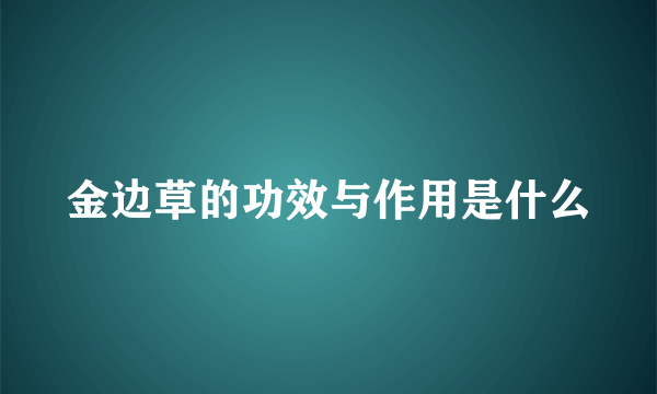 金边草的功效与作用是什么