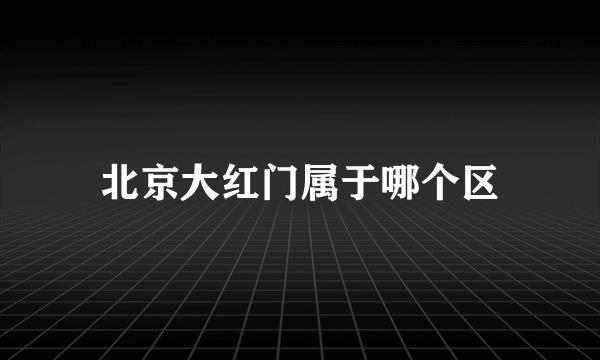 北京大红门属于哪个区