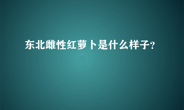 东北雌性红萝卜是什么样子？