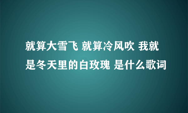 就算大雪飞 就算冷风吹 我就是冬天里的白玫瑰 是什么歌词