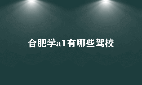 合肥学a1有哪些驾校