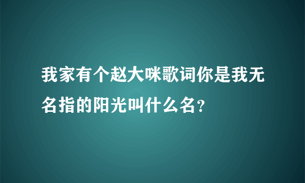 我家有个赵大咪歌词你是我无名指的阳光叫什么名？