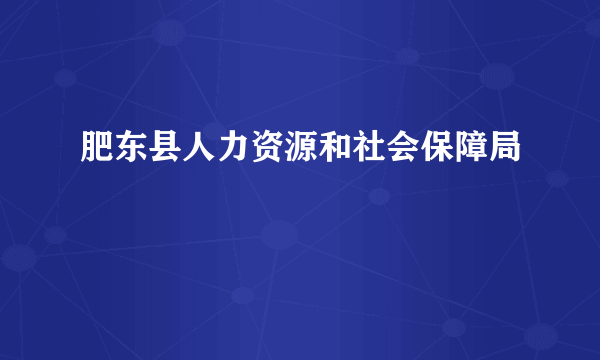 肥东县人力资源和社会保障局