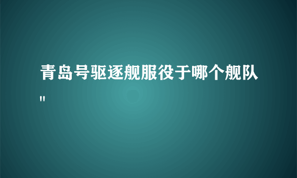 青岛号驱逐舰服役于哪个舰队