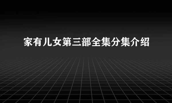 家有儿女第三部全集分集介绍