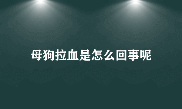 母狗拉血是怎么回事呢