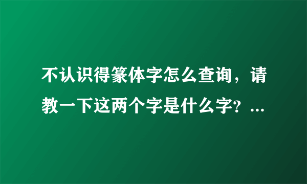 不认识得篆体字怎么查询，请教一下这两个字是什么字？ 谢谢！