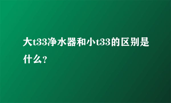 大t33净水器和小t33的区别是什么？