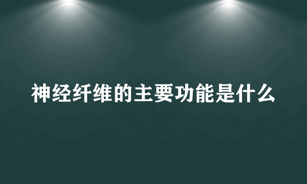 神经纤维的主要功能是什么