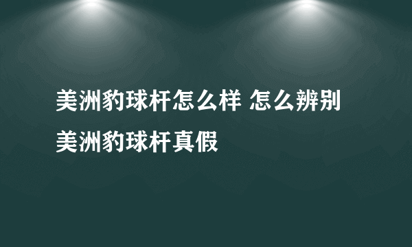 美洲豹球杆怎么样 怎么辨别美洲豹球杆真假