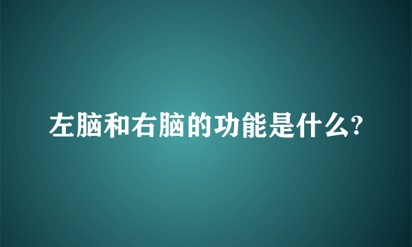 左脑和右脑的功能是什么?