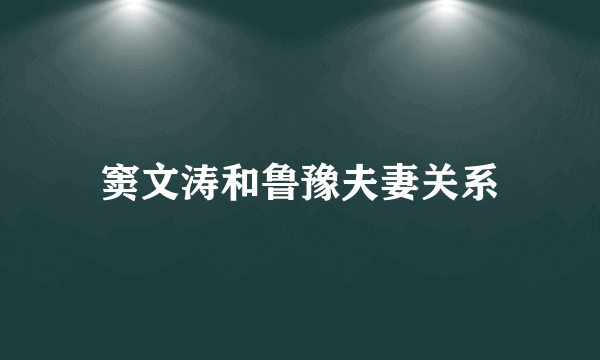 窦文涛和鲁豫夫妻关系