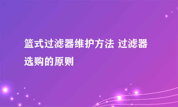 篮式过滤器维护方法 过滤器选购的原则