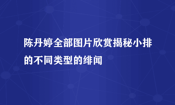 陈丹婷全部图片欣赏揭秘小排的不同类型的绯闻