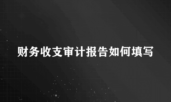 财务收支审计报告如何填写