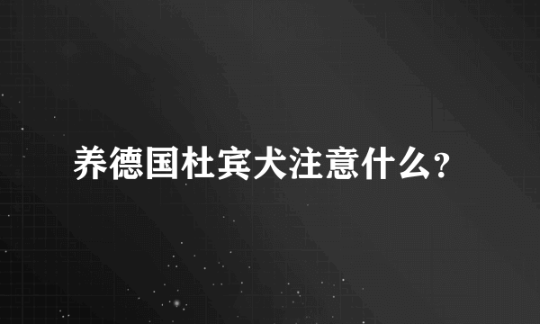 养德国杜宾犬注意什么？