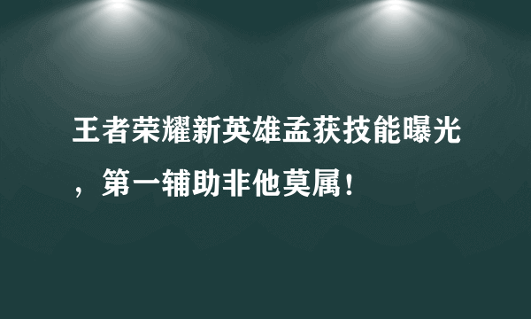 王者荣耀新英雄孟获技能曝光，第一辅助非他莫属！