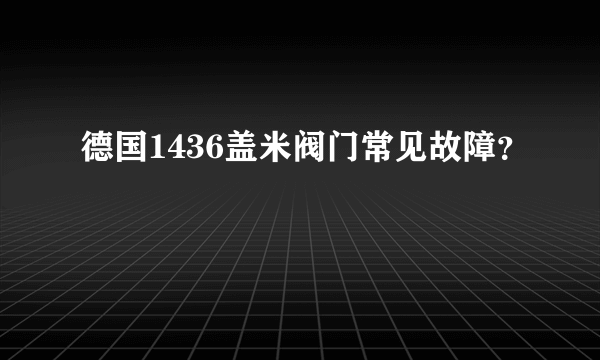 德国1436盖米阀门常见故障？