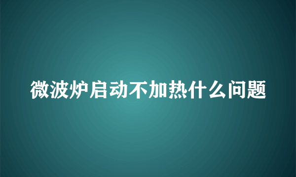 微波炉启动不加热什么问题