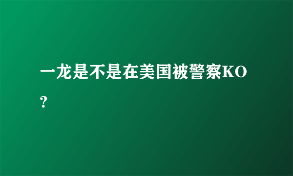 一龙是不是在美国被警察KO？