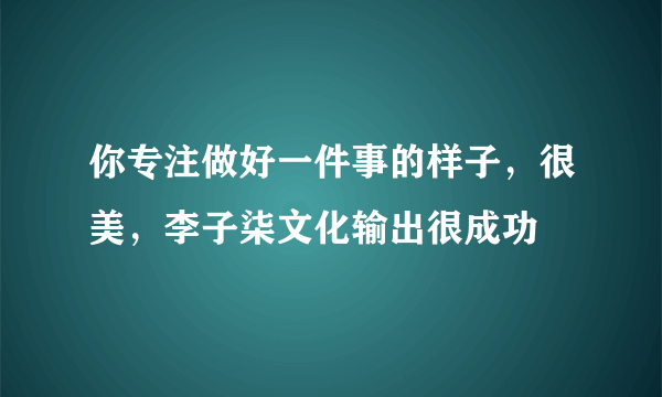 你专注做好一件事的样子，很美，李子柒文化输出很成功