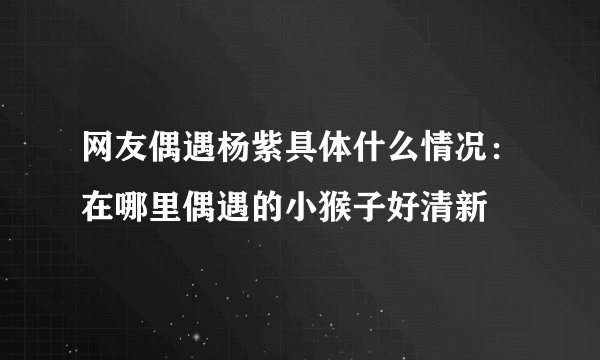 网友偶遇杨紫具体什么情况：在哪里偶遇的小猴子好清新