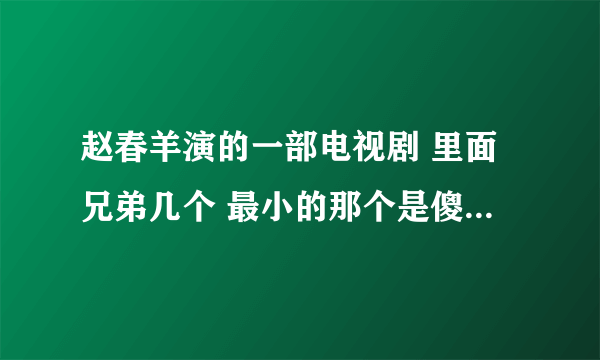 赵春羊演的一部电视剧 里面兄弟几个 最小的那个是傻子，那个电视叫什么