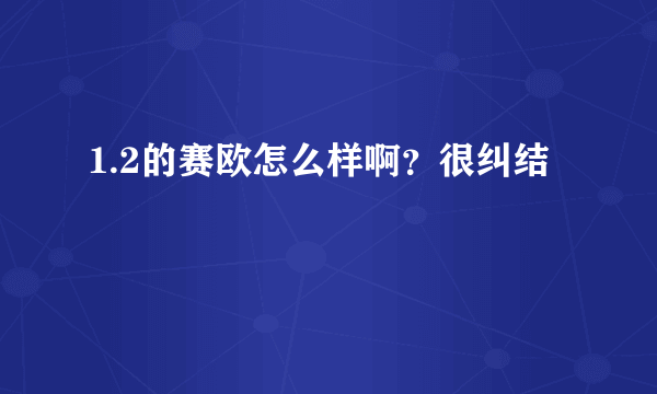 1.2的赛欧怎么样啊？很纠结